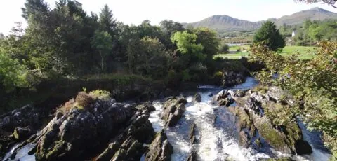 sneem