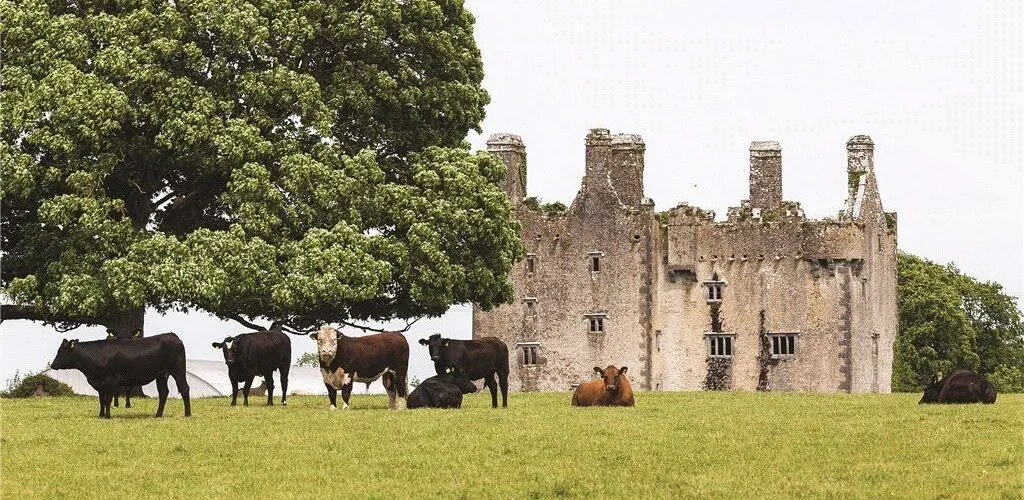 Un castillo irlandés del siglo XVI, ¡a la venta por más de 8 millones de euros!