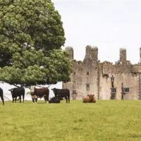 Le Killaleigh castle - MyHome.ie