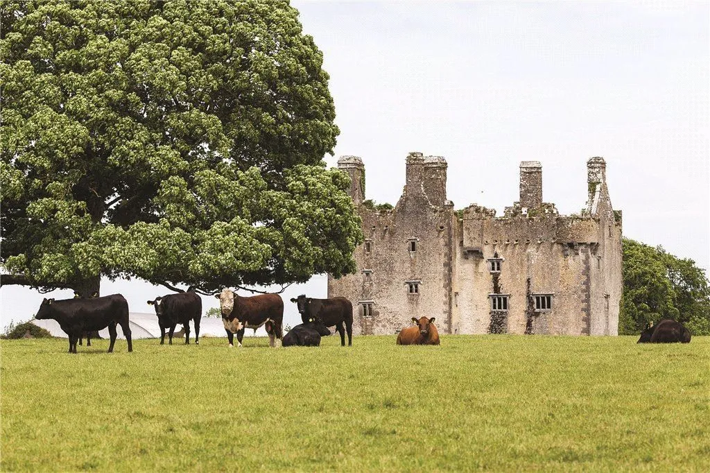 Le Killaleigh castle - MyHome.ie