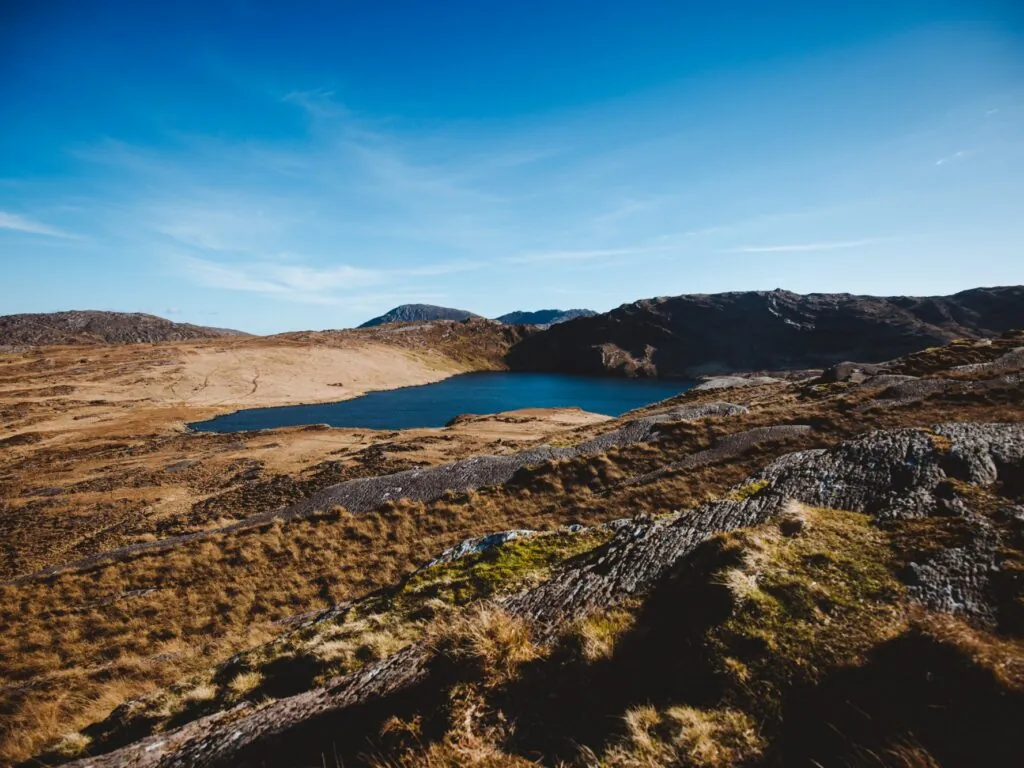 barley lake