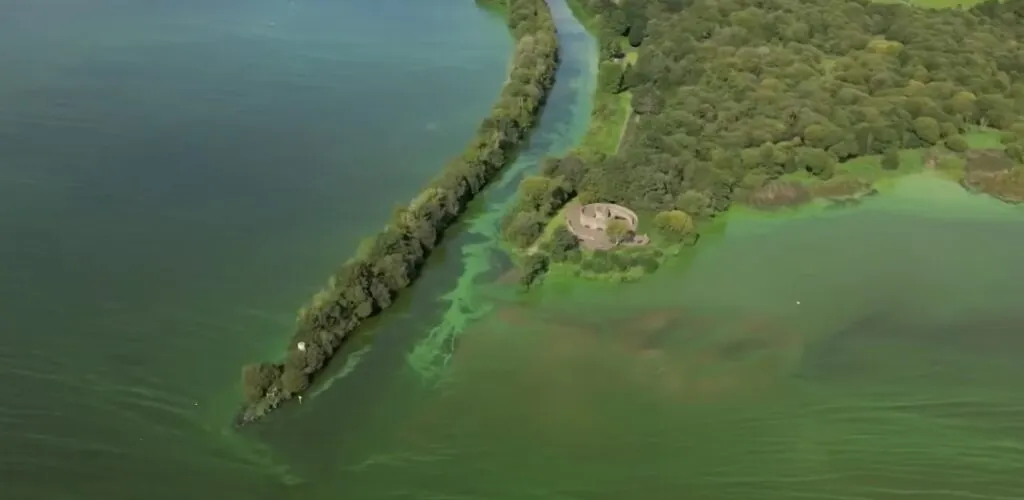 Impact climático: el Lough Neagh, el lago más grande de Irlanda en peligro