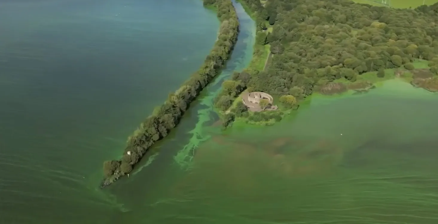 Le Lough Neagh, contaminé à l'algue bleue