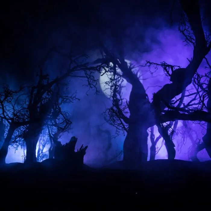 ¿Cómo se pronuncia la palabra Samhain? - zef arte