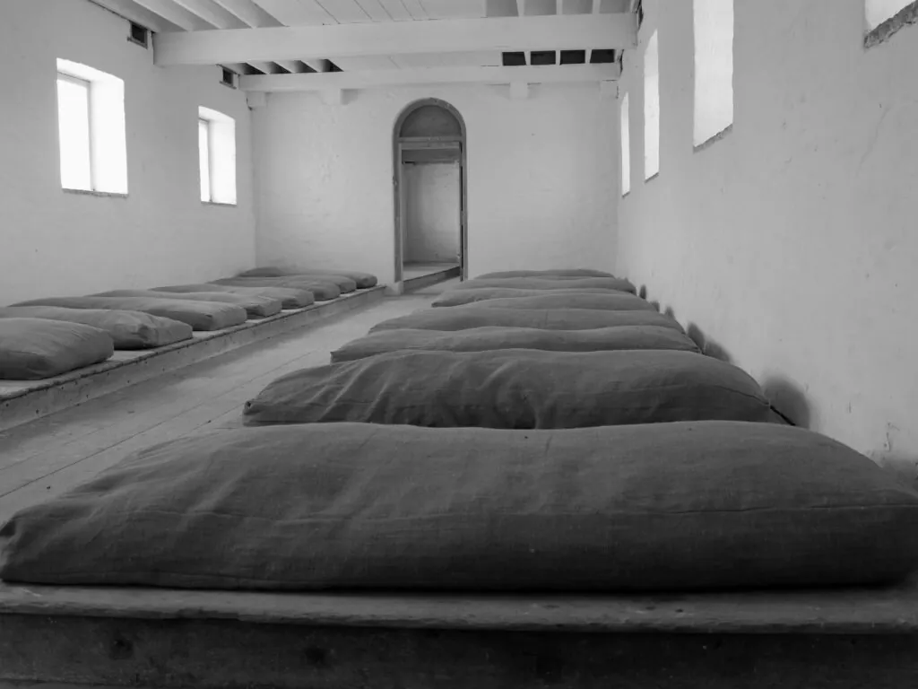 the irish workhouse centre