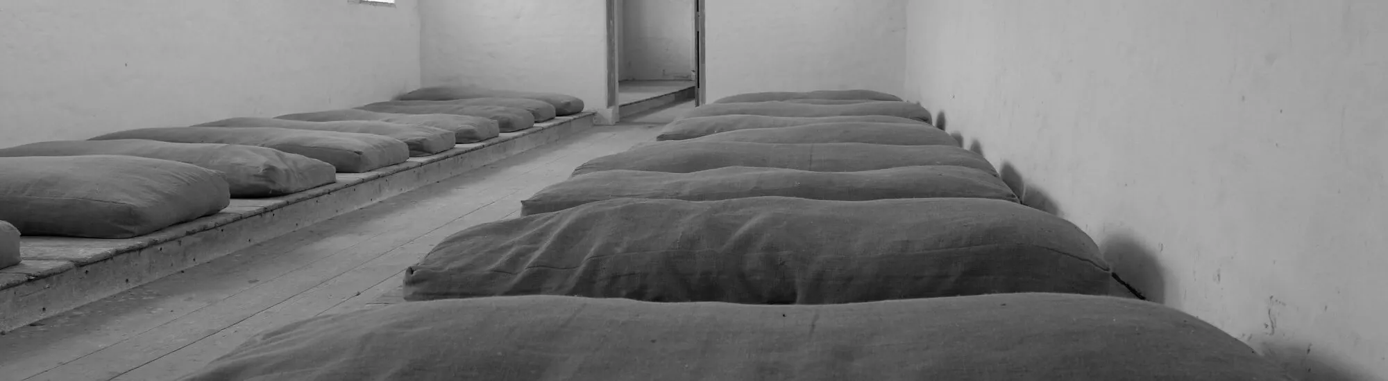 El Irish Workhouse Centre