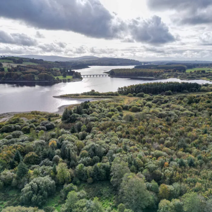 El embalse de Poulaphouca - © Sonder Visual - Fáilte Ireland
