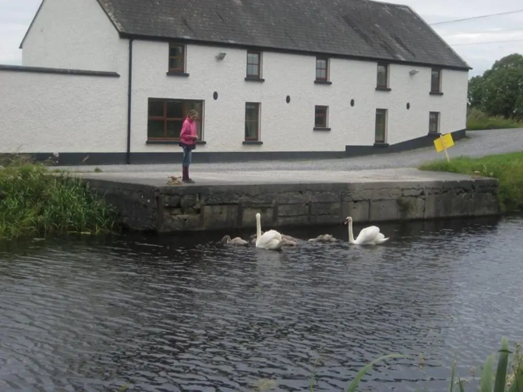Ballycommon House