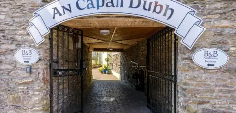 Dingle Centre Townhouse An Capall Dubh Dingle