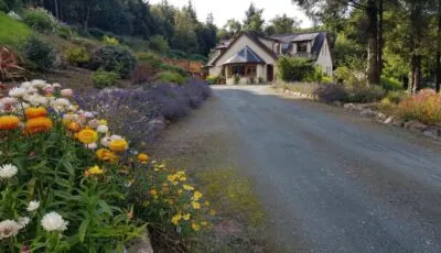FOREST VIEW Woodland lodge