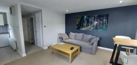 Greenmount Apartment 1 Bed in Naas