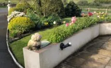 June’s b&b