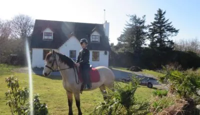 Letterfrack Farmhouse on equestrian farm in Letterfrack beside Connemara National Park