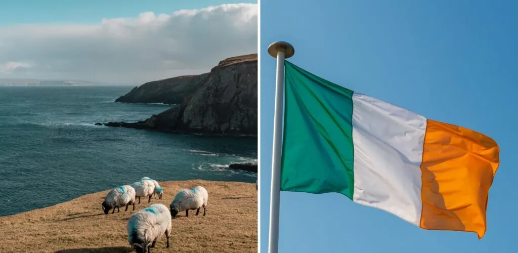 Irlanda identificada como eslabón débil de la defensa europea