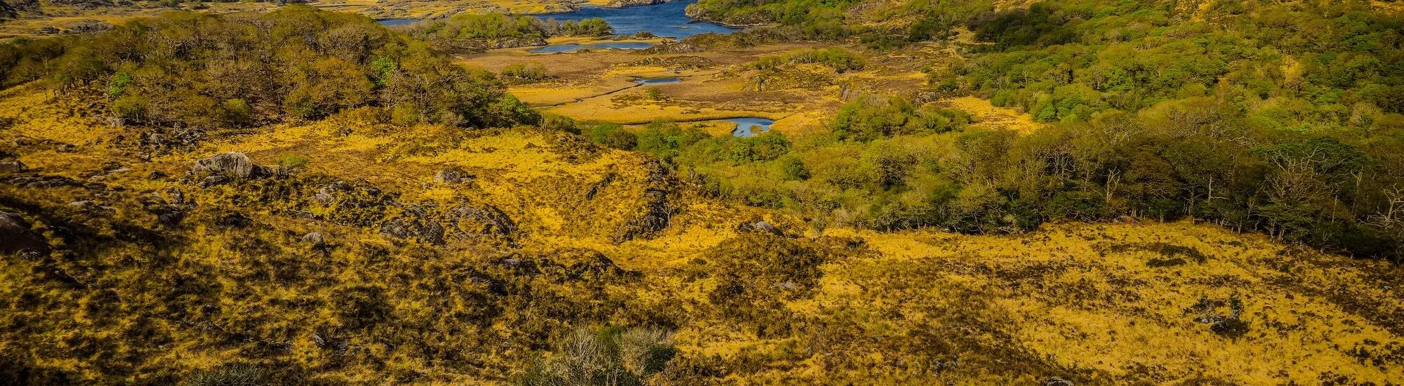 Las rutas de senderismo más bonitas del parque de Killarney