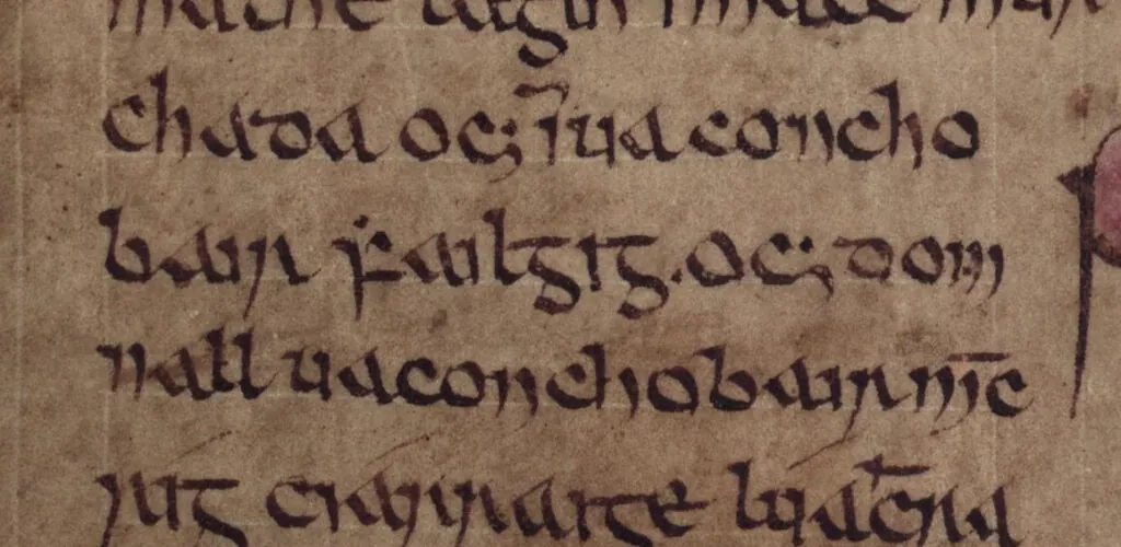Un tesoro medieval irlandés regresa al país por primera vez en 40 años