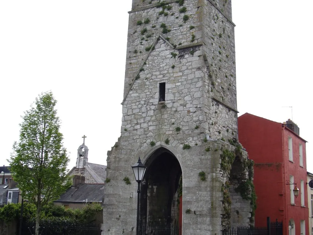 Tour médiévale de Red Abbey à Cork