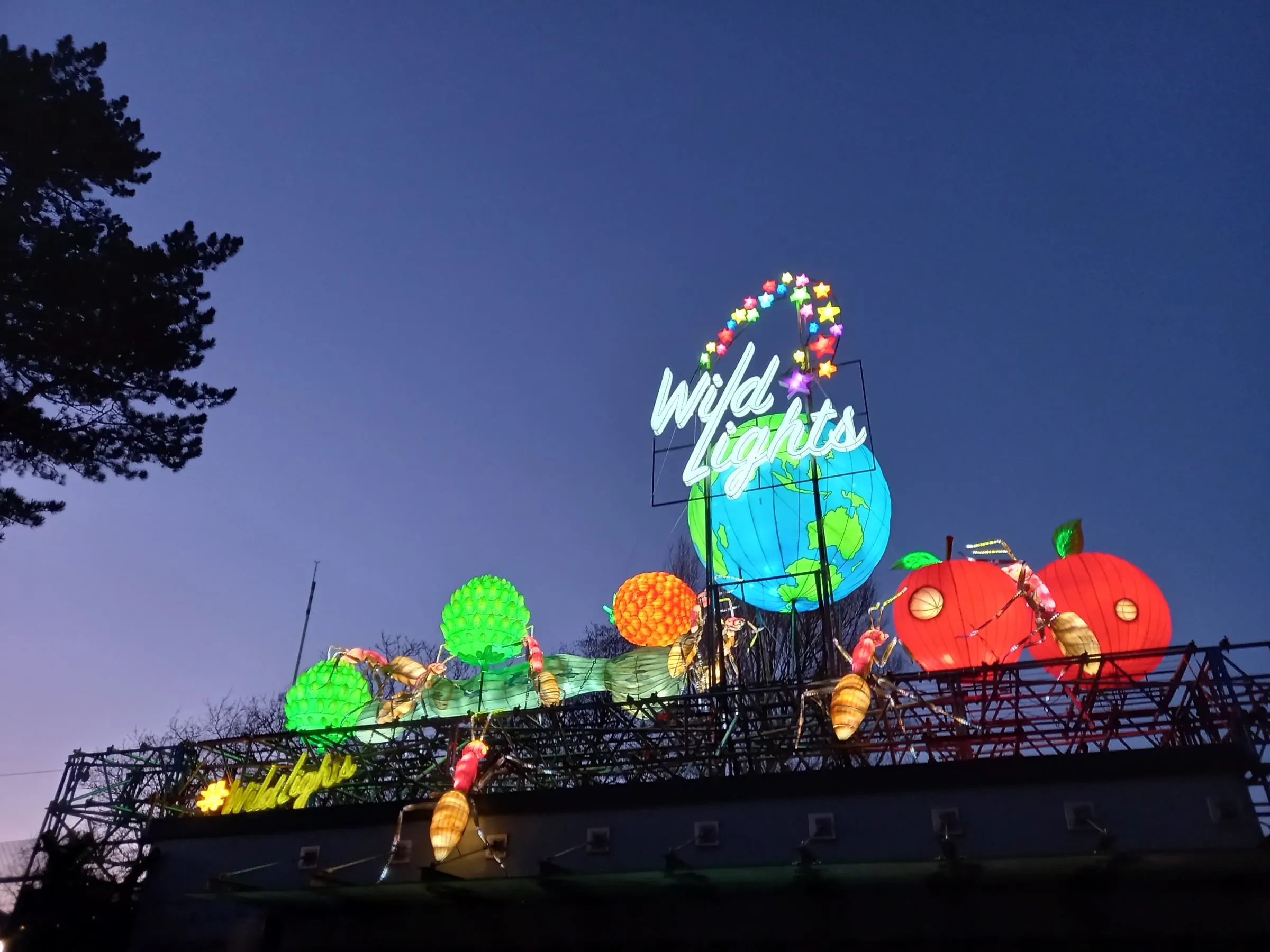 Wild Lights en Dublin Zoo